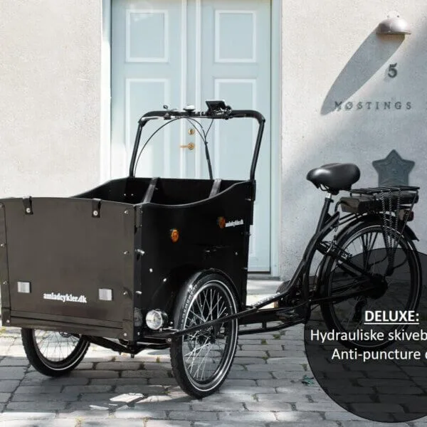 AM El Ladcykel Deluxe — produktfoto