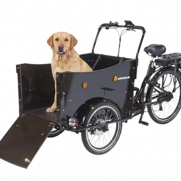 AM El Ladcykel Dog — produktfoto