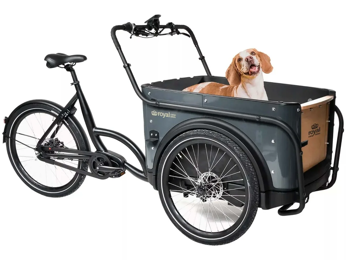 Royal Cargobike Dog — produktfoto via Ladcyklen.dk